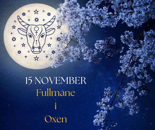 Fullmåne i Oxen den 15 november – Stabilitet, njutning och materiell trygghet