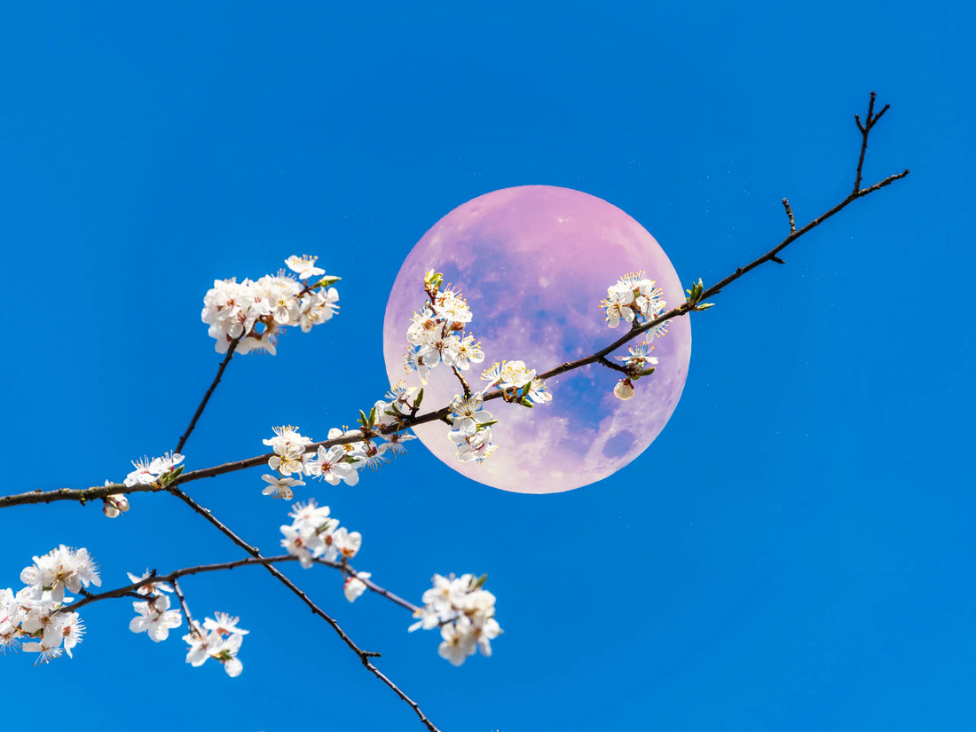 🌙 Månens energi i april 2026