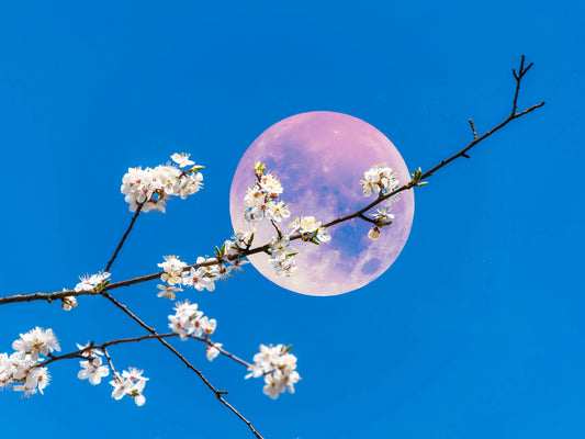 🌙 Månens energi i april 2026