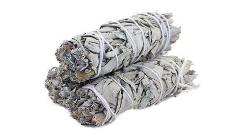 Vit salvia smudge - Premium Salvia Apiana 10 cm